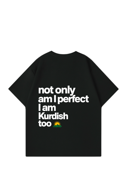 I am Kurdish Oversize T-Shirt